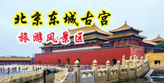 美女阴户,中国的裸露中国北京-东城古宫旅游风景区